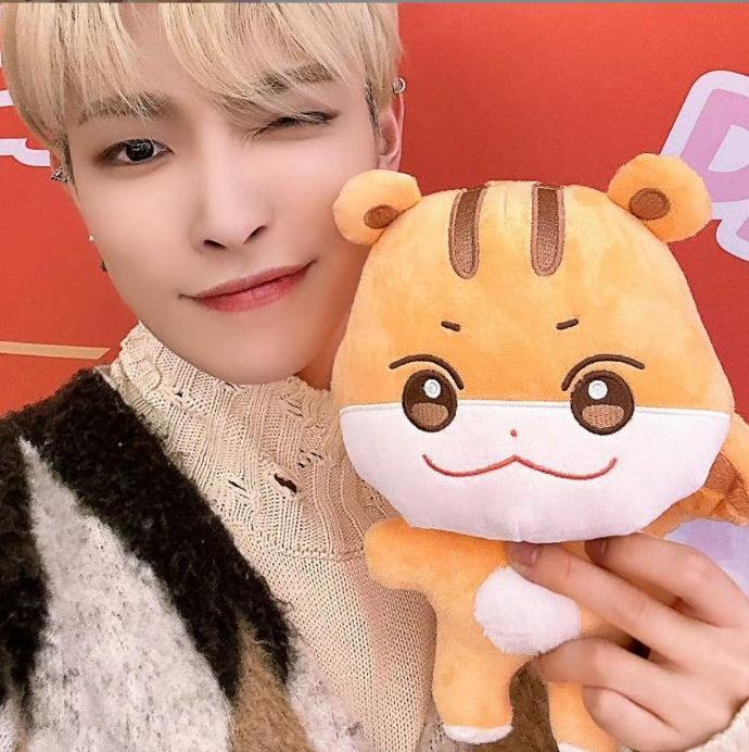 ATEEZ ANITEEZ PLÜSCHSPIELZEUG 25 bis 30 cm