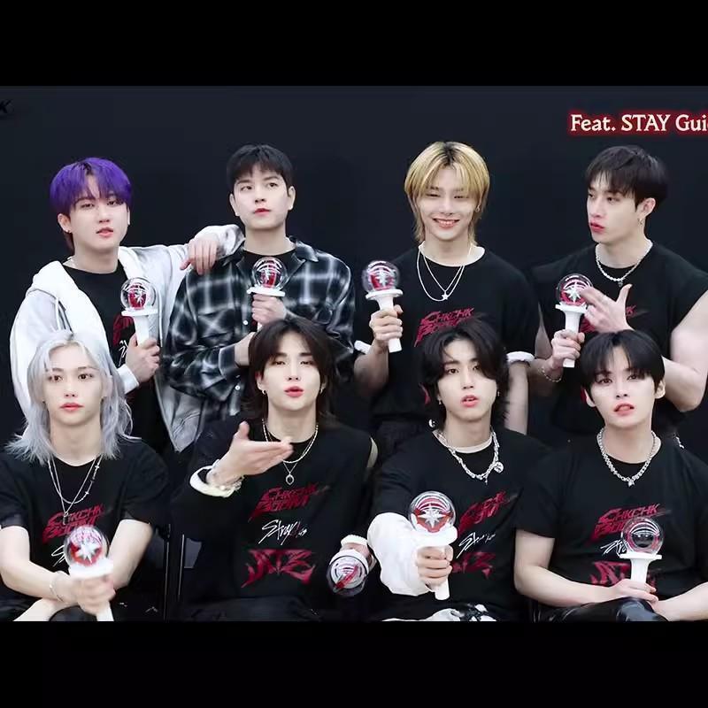 STRAY KIDS T-SHIRTS ATE 100% BAUMWOLLE