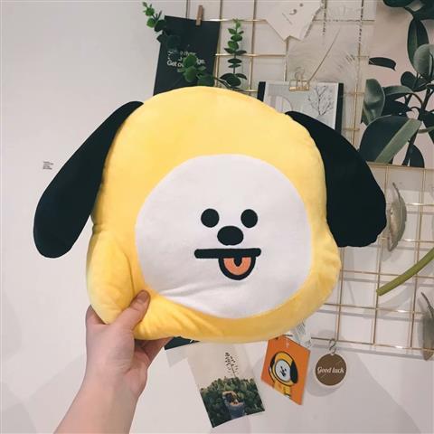 BT21 BTS ALLE CHARAKTERE KISSEN 35CM