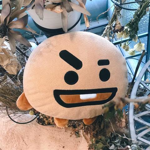 BT21 BTS ALLE CHARAKTERE KISSEN 35CM