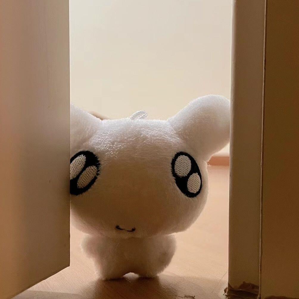 BOYNEXTDOOR PLUSH KEYRING DDINGMYUNG