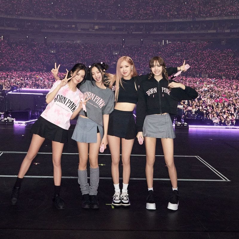 BLACKPINK BORN PINK CROPPED HOODIE