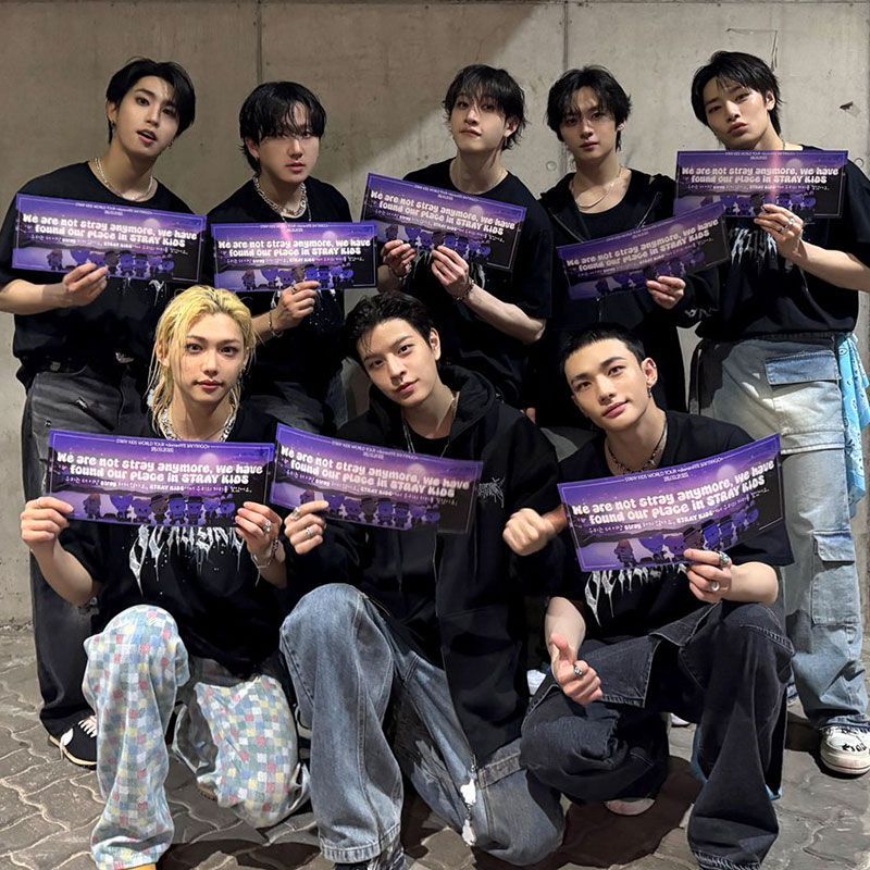 STRAY KIDS MERCH T-SHIRTS EVIL SKZOO 100% BAUMWOLLE