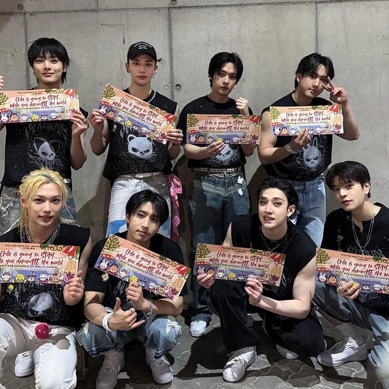 STRAY KIDS MERCH T-SHIRTS EVIL SKZOO 100% BAUMWOLLE